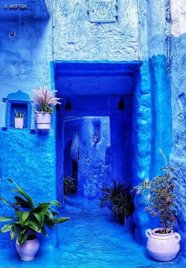 Joli Studio De Charme A Chaouen Чефчауен Екстериор снимка